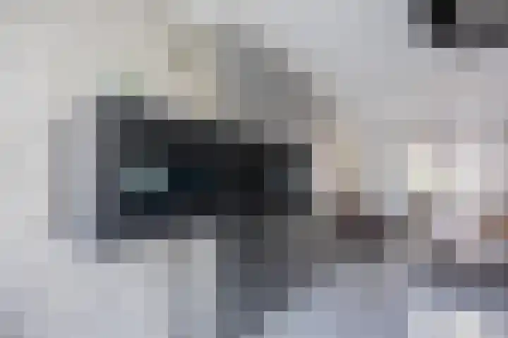 Hillekensacker 2104 Nijmegen thumbnail 9