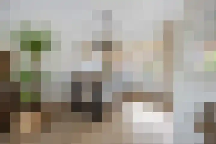 Hillekensacker 2215 Nijmegen thumbnail 10