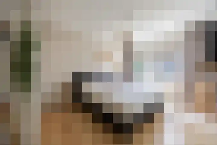 Hillekensacker 2215 Nijmegen thumbnail 17