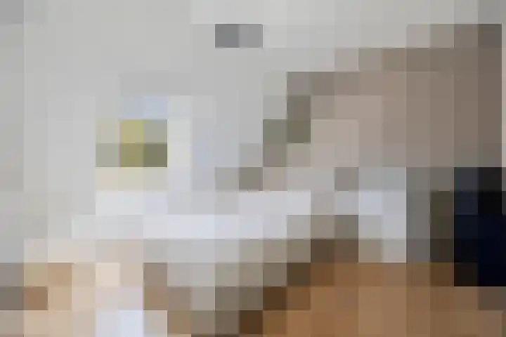 Hillekensacker 2215 Nijmegen thumbnail 19