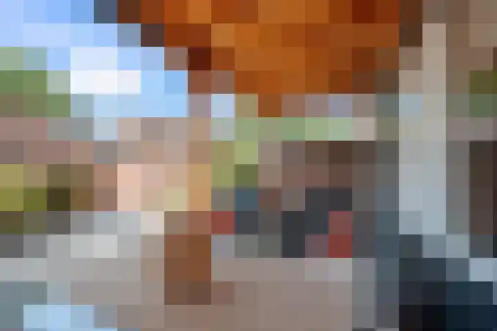 Hillekensacker 2215 Nijmegen thumbnail 30