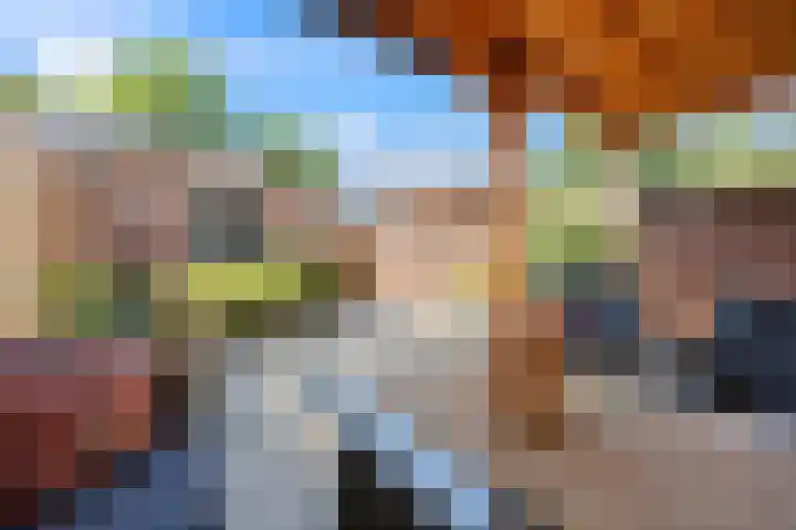 Hillekensacker 2215 Nijmegen thumbnail 31