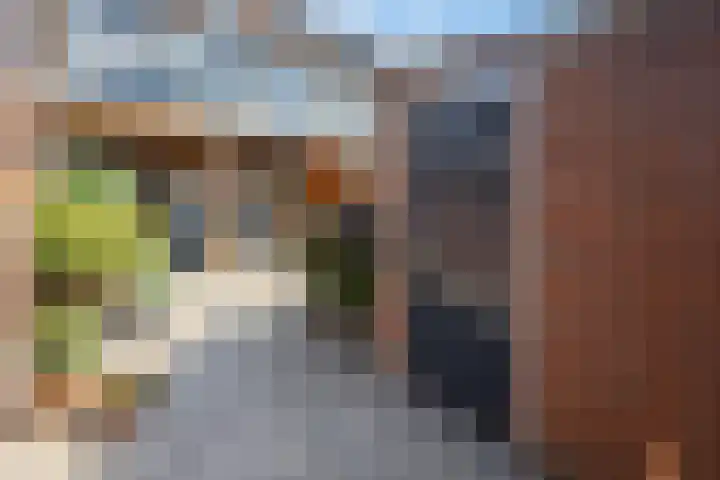 Hillekensacker 2215 Nijmegen thumbnail 34
