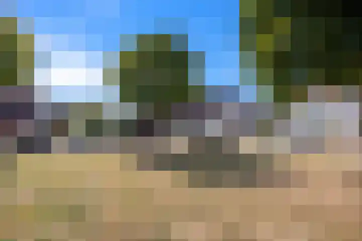 Hillekensacker 2215 Nijmegen thumbnail 39
