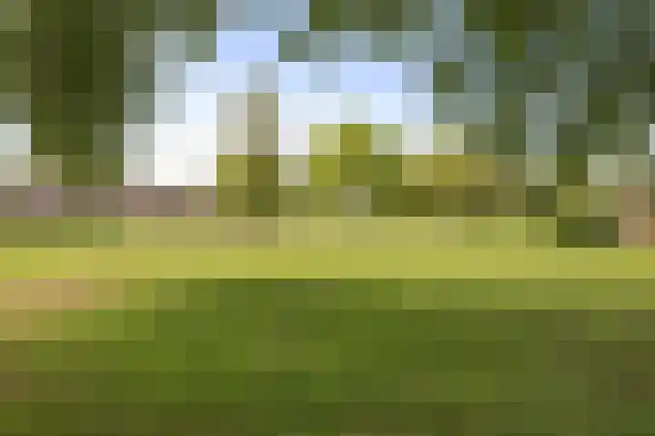 Hillekensacker 2305 Nijmegen thumbnail 29