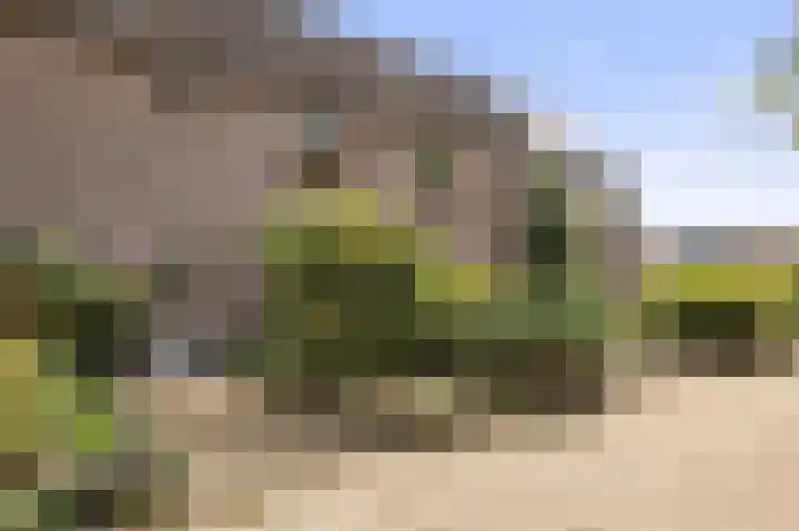 Hillekensacker 2305 Nijmegen thumbnail 30