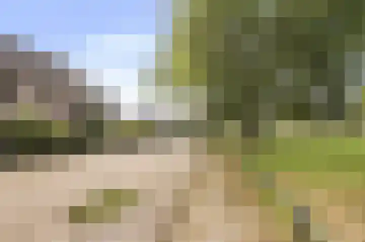 Hillekensacker 2305 Nijmegen thumbnail 5