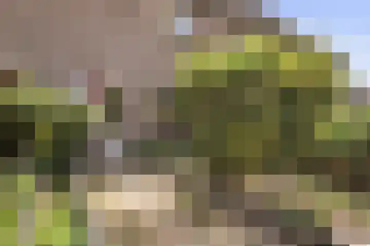 Hillekensacker 2305 Nijmegen thumbnail 6