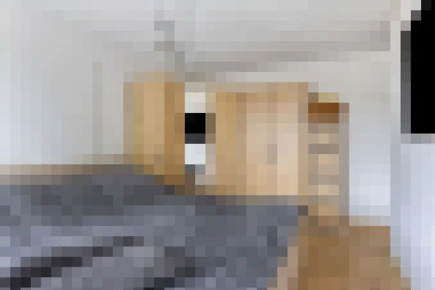 Hillekensacker 3055 Nijmegen thumbnail 18
