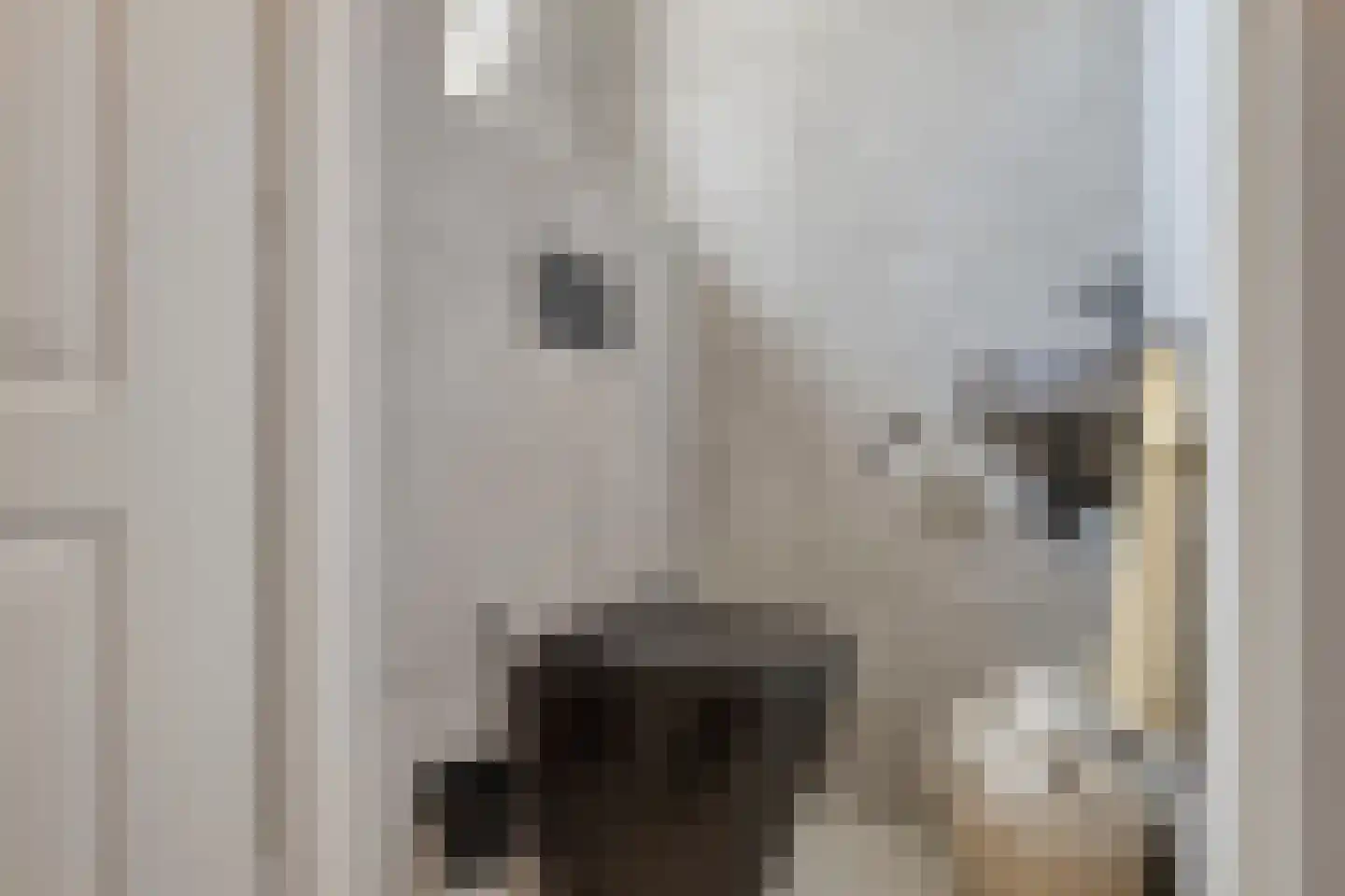 Hillekensacker 3055 Nijmegen thumbnail 7