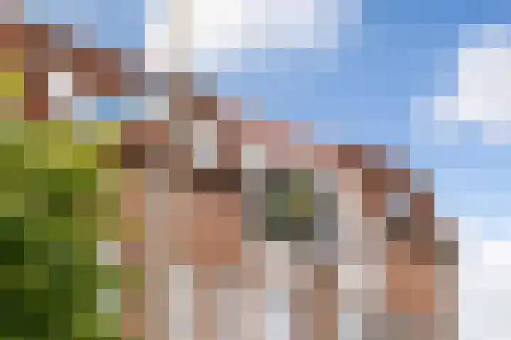 Hillekensacker 3146 Nijmegen thumbnail 25