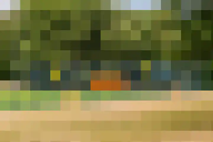 Hillekensacker 3146 Nijmegen thumbnail 30