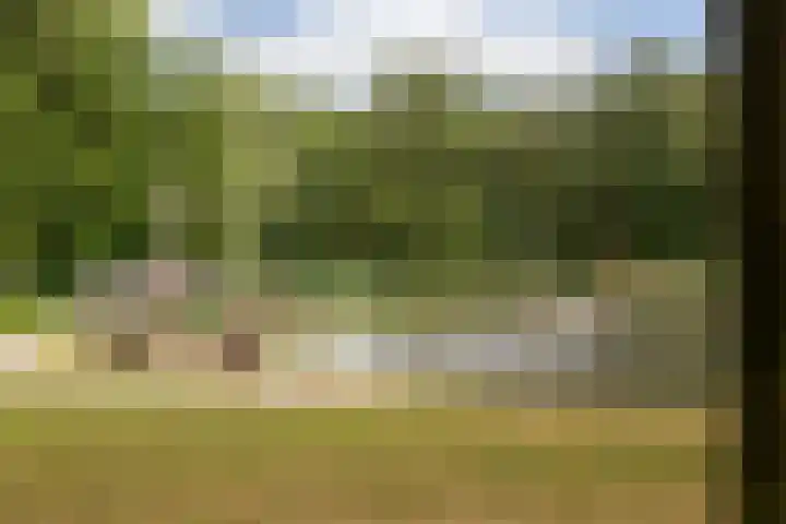 Hillekensacker 3146 Nijmegen thumbnail 31