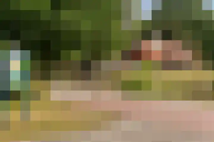 Hillekensacker 3146 Nijmegen thumbnail 32