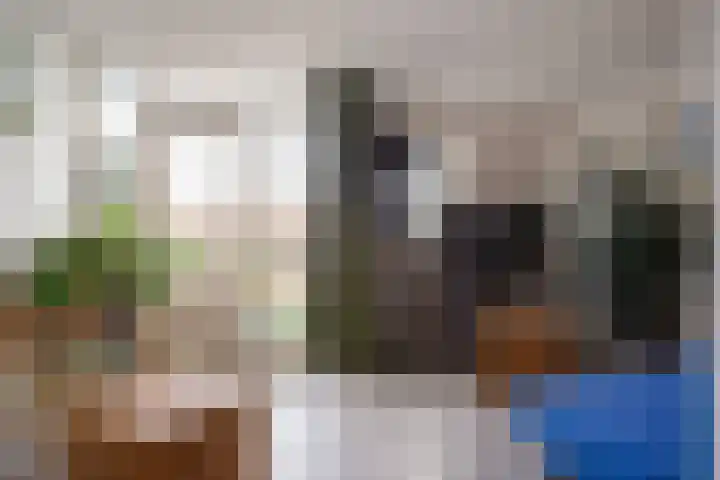 Hillekensacker 3146 Nijmegen thumbnail 4