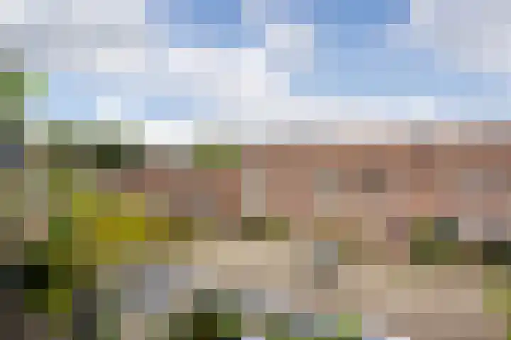 Hillekensacker 3146 Nijmegen thumbnail 6