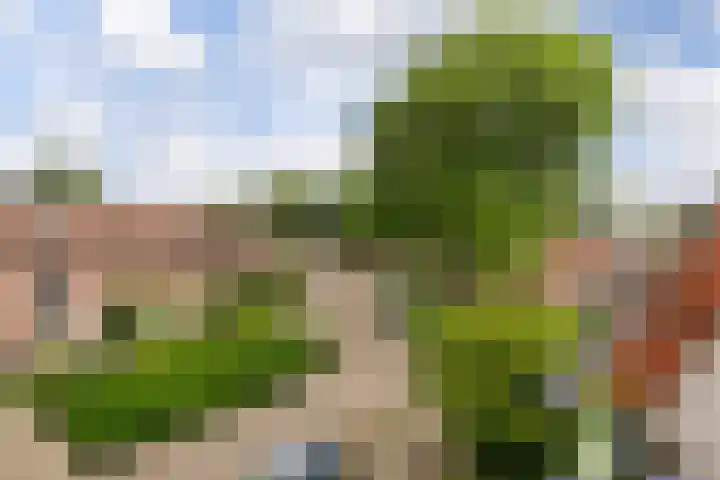Hillekensacker 3146 Nijmegen thumbnail 7