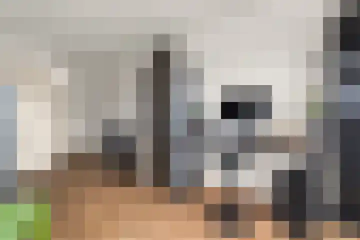 Hillekensacker 3150 Nijmegen thumbnail 14