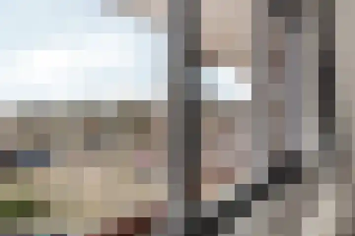 Hillekensacker 3150 Nijmegen thumbnail 24