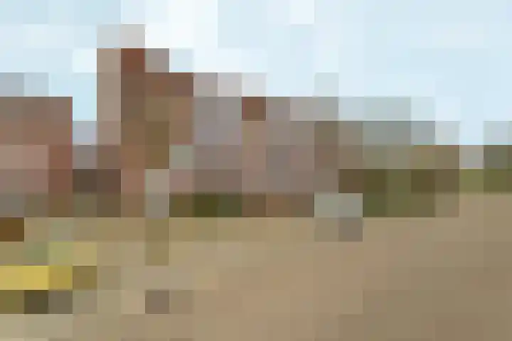 Hillekensacker 3150 Nijmegen thumbnail 34