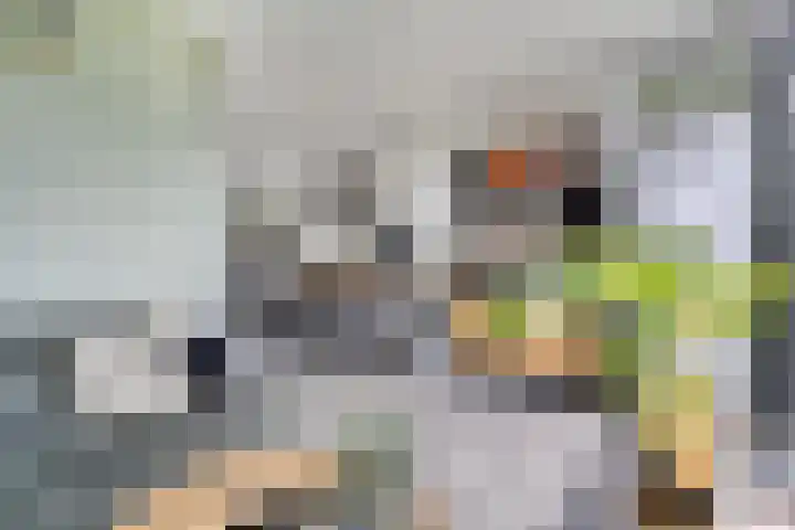 Hillekensacker 3166 Nijmegen thumbnail 13