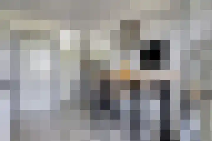 Hillekensacker 3166 Nijmegen thumbnail 15