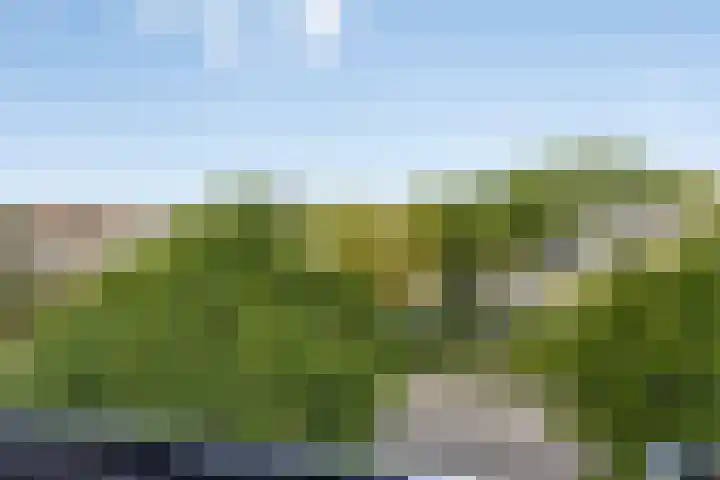 Hillekensacker 3166 Nijmegen thumbnail 25