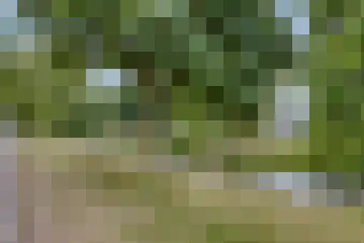 Hillekensacker 3166 Nijmegen thumbnail 26