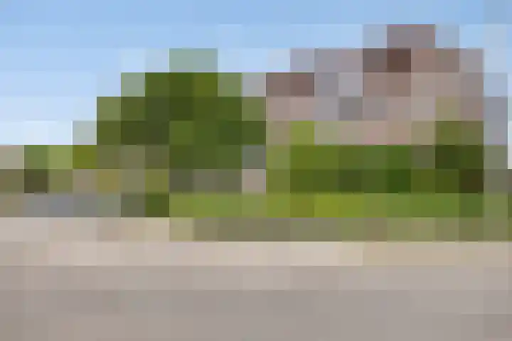 Hillekensacker 3166 Nijmegen thumbnail 7