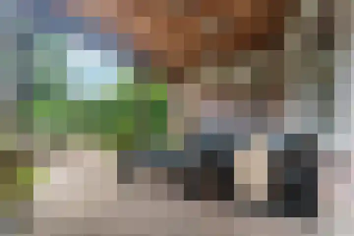Hillekensacker 3304 Nijmegen thumbnail 35