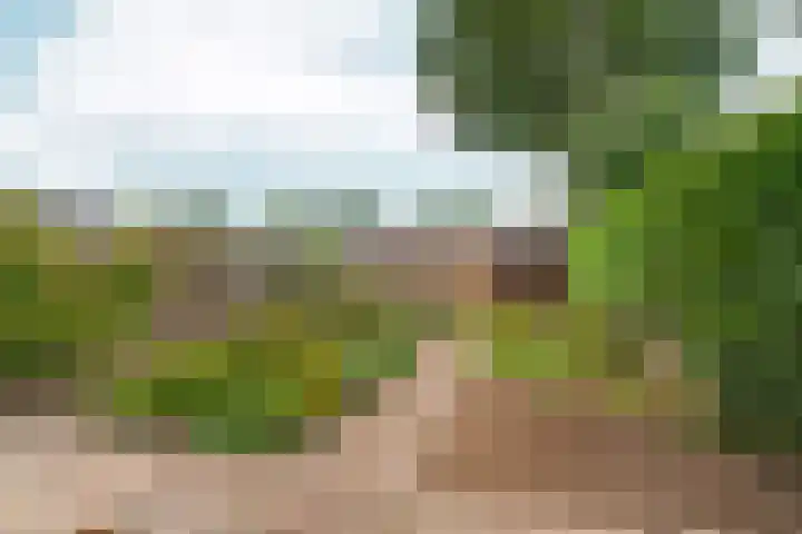Hillekensacker 3304 Nijmegen thumbnail 40