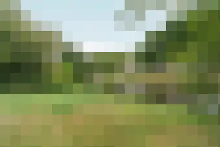 Hillekensacker 3304 Nijmegen thumbnail 48