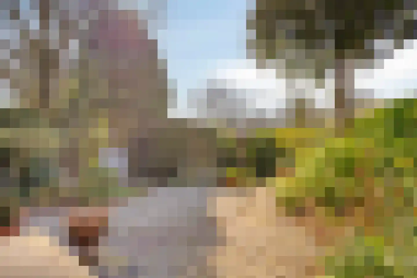 Hillekensacker 3328 Nijmegen thumbnail 42