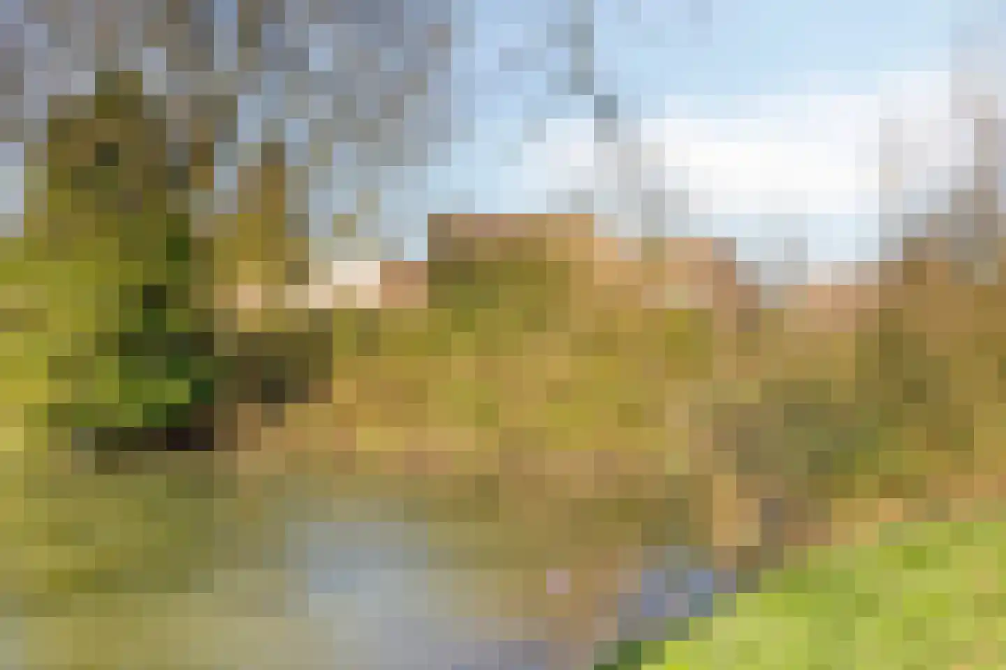 Hillekensacker 3328 Nijmegen thumbnail 57