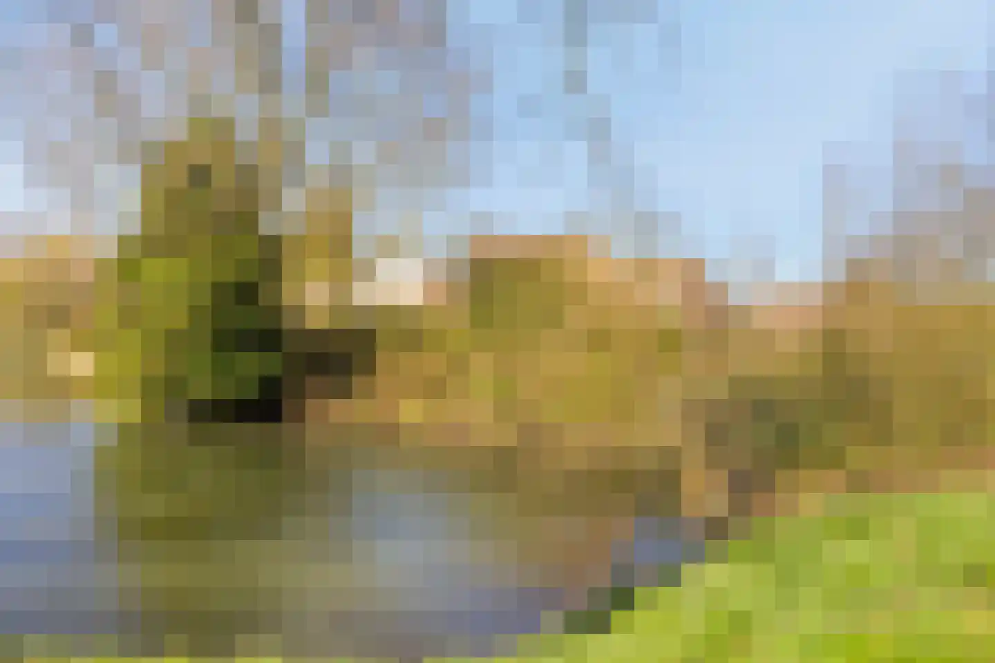 Hillekensacker 3328 Nijmegen thumbnail 58
