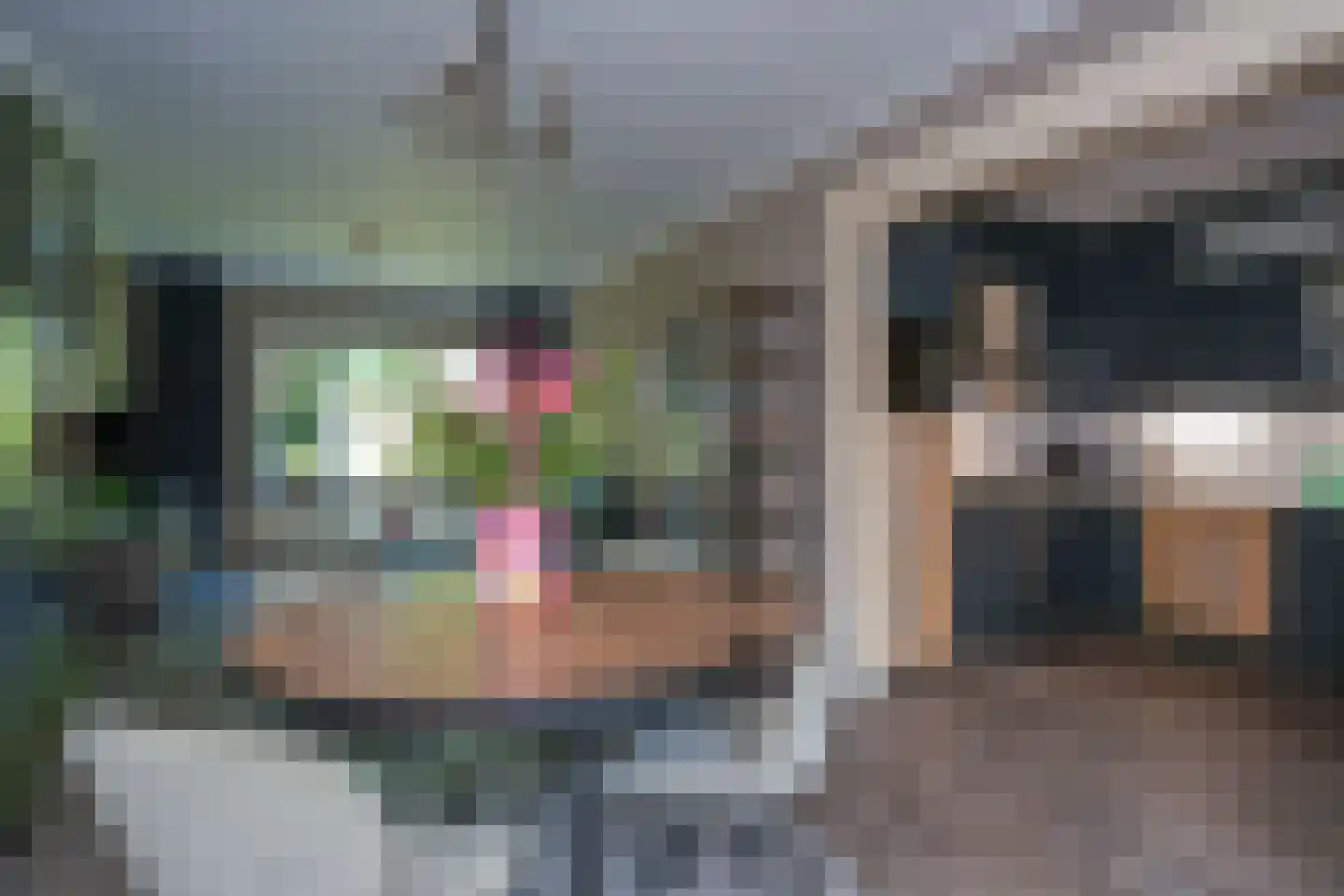 Hillemalaan 16 Drachten thumbnail 17