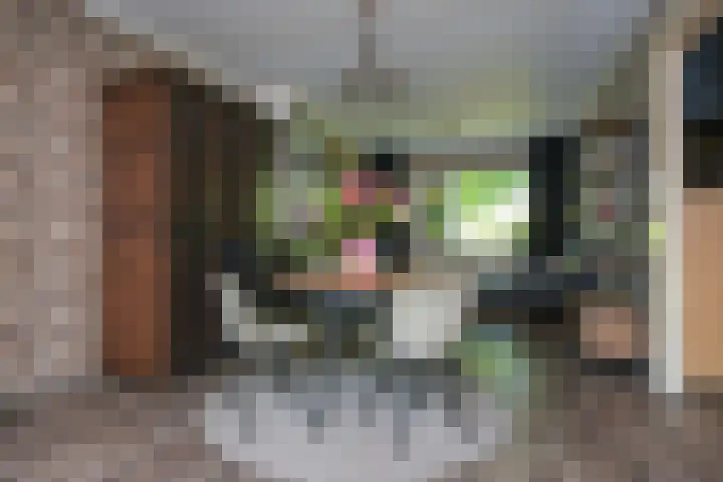 Hillemalaan 16 Drachten thumbnail 20
