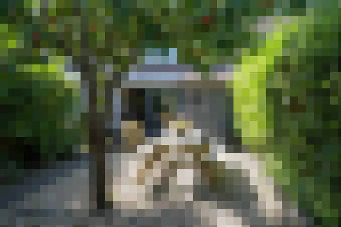 Hillemalaan 16 Drachten thumbnail 48