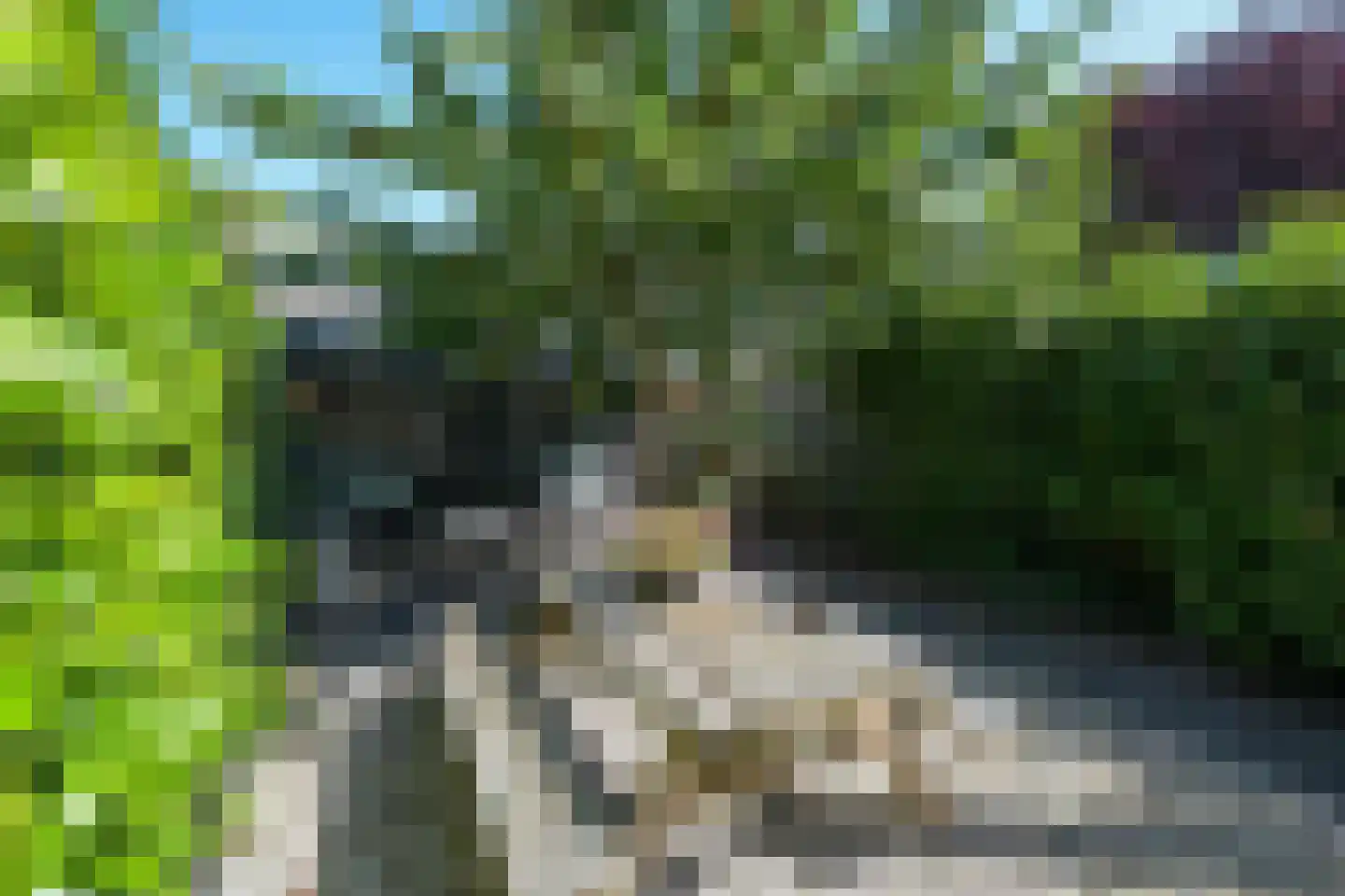 Hillemalaan 16 Drachten thumbnail 6