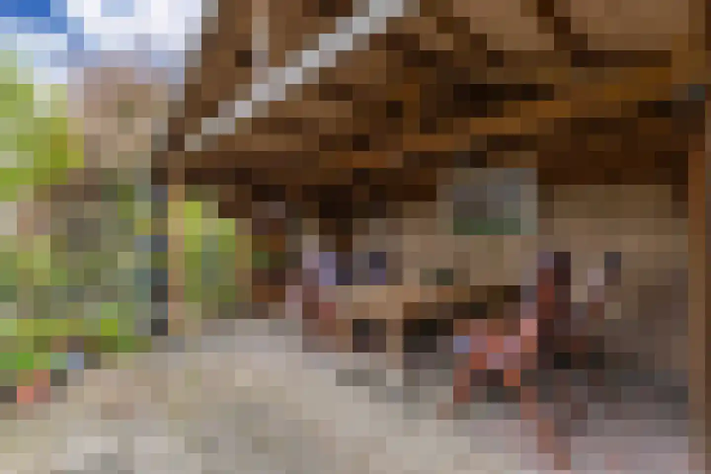 Hillemalaan 24 Drachten thumbnail 25