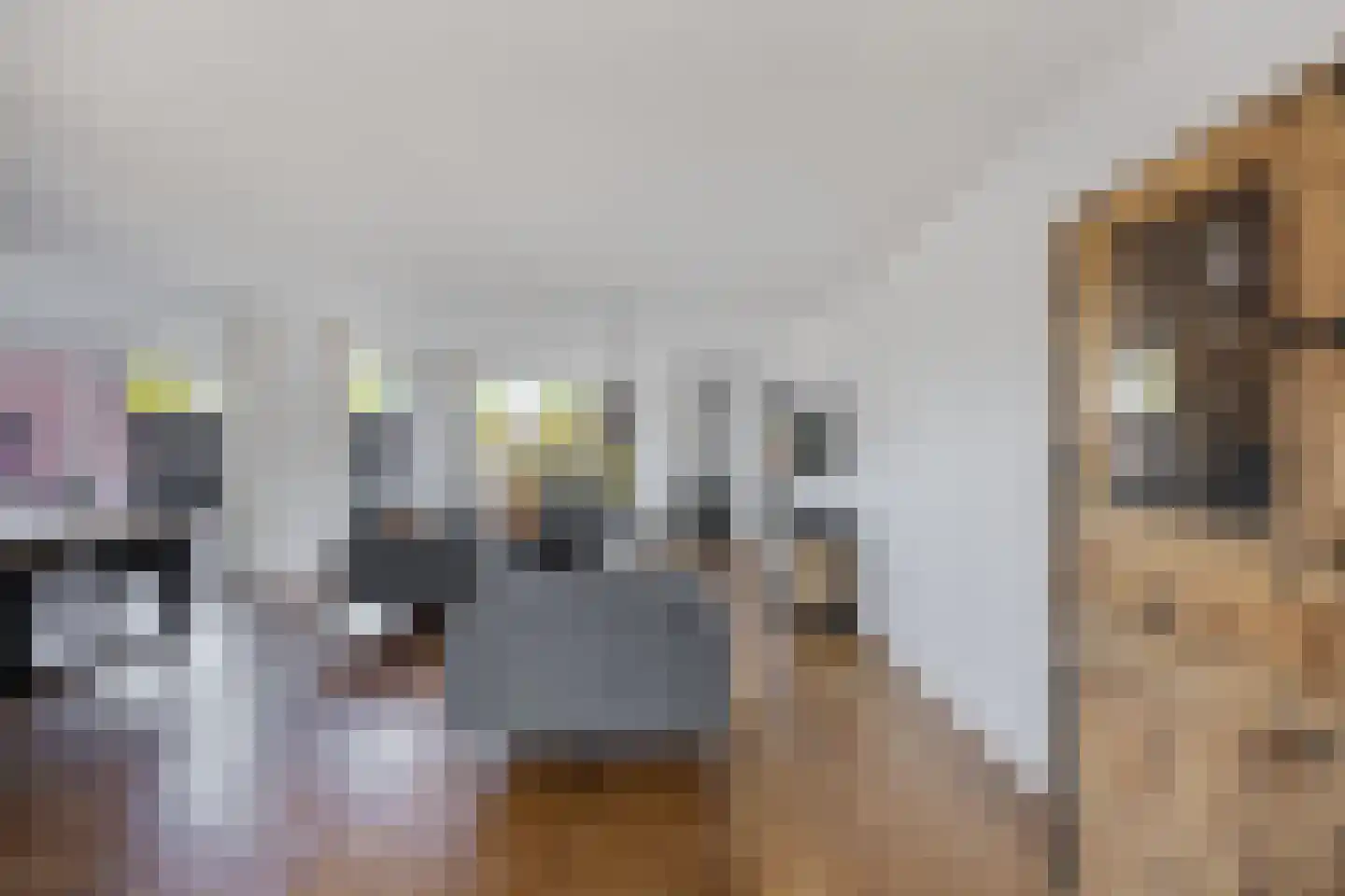 Hillen acker 22 Heemskerk thumbnail 11