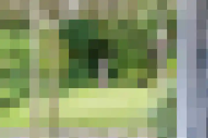 Hillenaarlaan 25 Wassenaar thumbnail 15