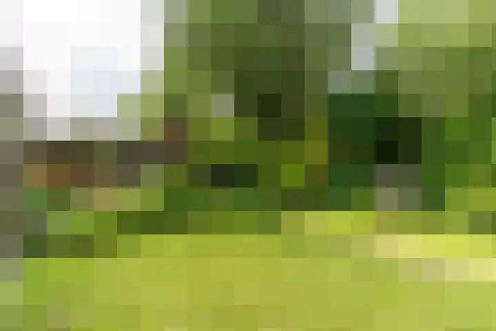 Hillenaarlaan 25 Wassenaar thumbnail 16