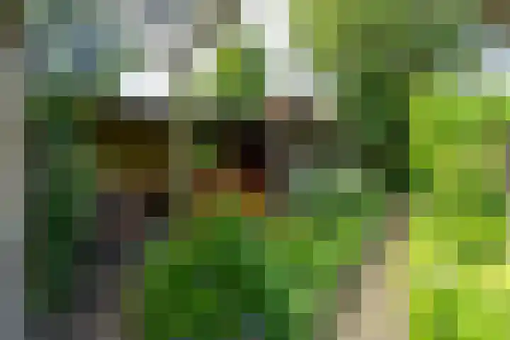 Hillenaarlaan 25 Wassenaar thumbnail 17