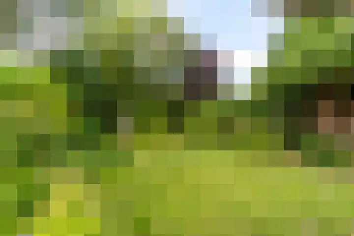 Hillenaarlaan 25 Wassenaar thumbnail 19