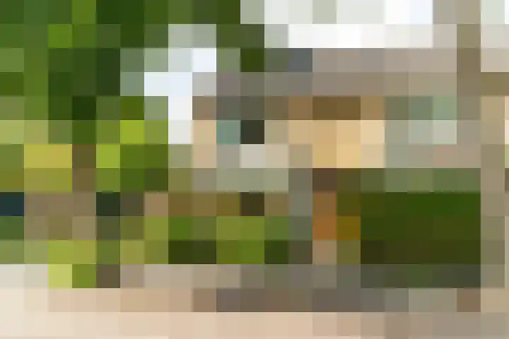 Hillenaarlaan 25 Wassenaar thumbnail 4