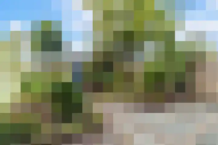 Hillenaarlaan 5 Wassenaar thumbnail 10