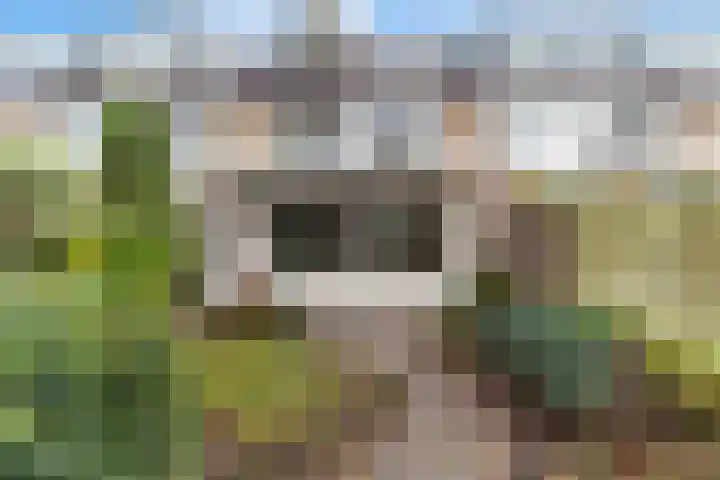 Hillenaarlaan 5 Wassenaar thumbnail 11