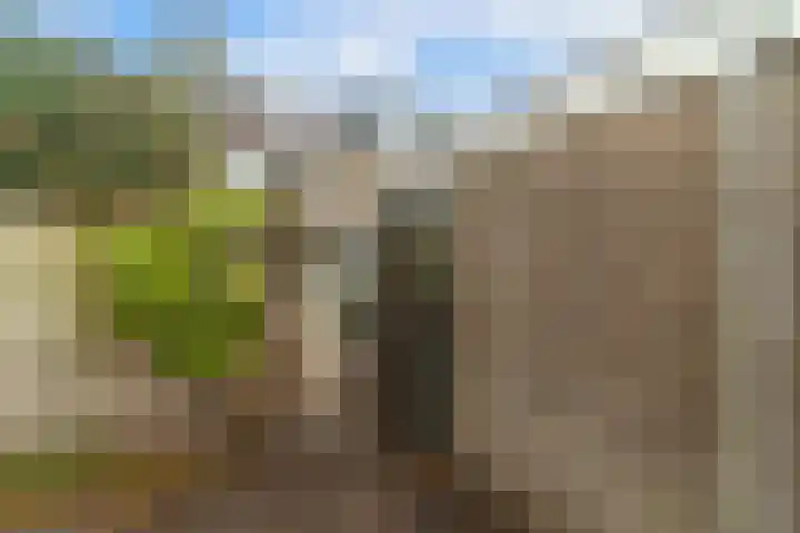 Hillenaarlaan 5 Wassenaar thumbnail 12