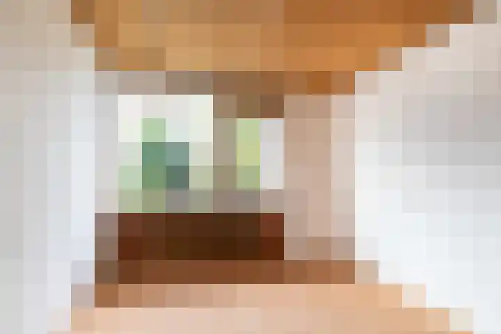 Hillenaarlaan 5 Wassenaar thumbnail 18